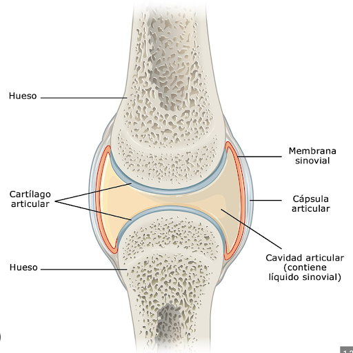 Explorando Métodos No Invasivos en el Tratamiento del Dolor Articular